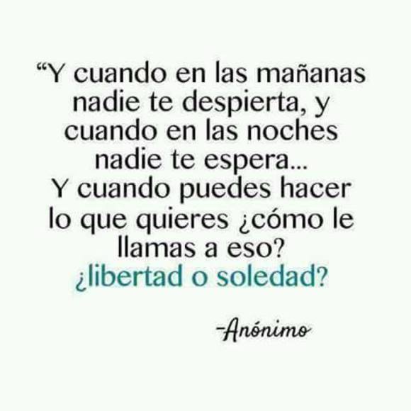 sabadrinks